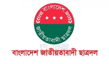 ছাত্রদলের গঠনতন্ত্র হয়নি ৪৩ বছরেও