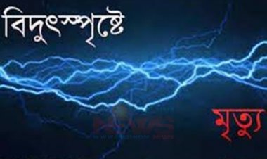 নেত্রকোনায় বিদ্যুৎস্পৃষ্টে বাবা-মা-মেয়ের মৃত্যু