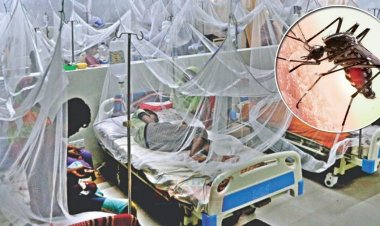 হাসপাতালে ভর্তি আরও ১৫৯ জন ডেঙ্গুরোগী