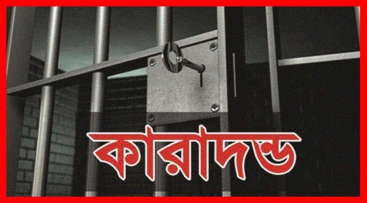 স্কুলছাত্রীকে উত্ত্যক্ত করায় বখাটের কারাদন্ড