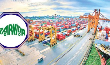 বিতর্ক ছড়াচ্ছে মোংলা বন্দরের ‘বারভিডা লেভি’