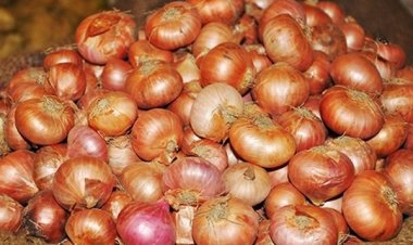 দেশি পেঁয়াজের দাম বেড়েছে ৬ টাকা
