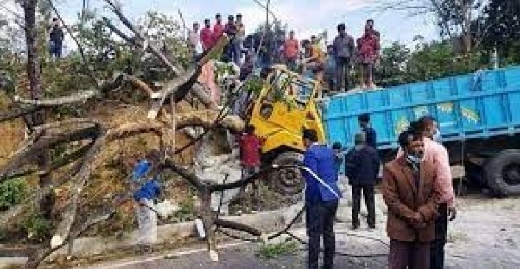 গাছে নিয়ন্ত্রণহীন ট্রাকের ধাক্কায় বাবা-ছেলে নিহত