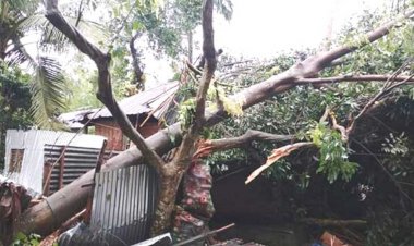 লালমনিরহাটে ঝড়-শিলাবৃষ্টিতে বাড়িঘর লন্ডভন্ড 