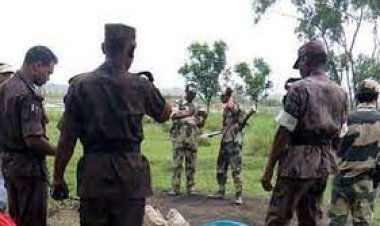 সীমান্ত পেরিয়ে ভারতে ঢোকায় বাংলাদেশিকে পিটিয়ে হত্যা