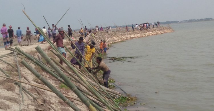নেত্রকোনায় ফসল রক্ষা বাঁধে ফাটল, স্বেচ্ছায় কাজ করছেন কৃষকরা