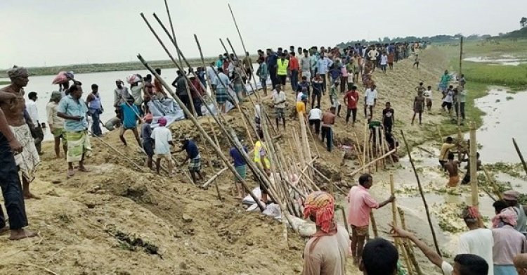 বাঁধ ভাঙনে ইঁদুরকে দুষলেন পাউবো কর্মকর্তা