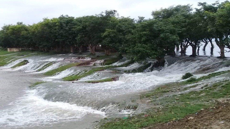 গুরমার হাওরে বাঁধ উপচে ঢুকছে পানি