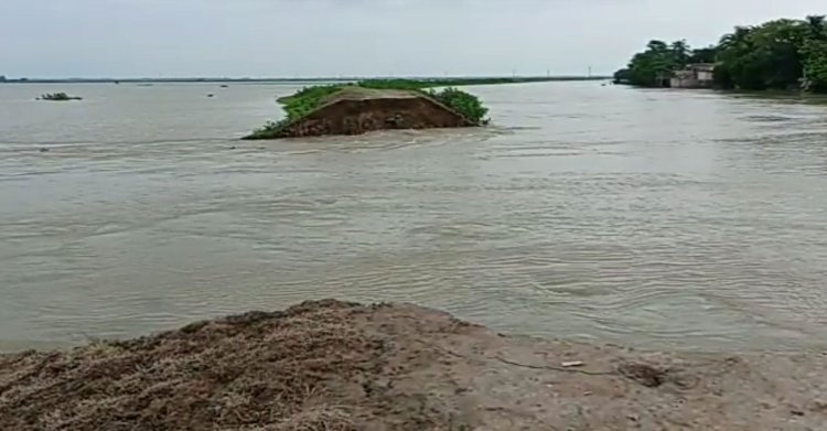 বাঁধ ভেঙে হাওরে ঢুকছে পানি, ৩০০ হেক্টর জমির ধান তলিয়ে যাওয়ার শঙ্কা