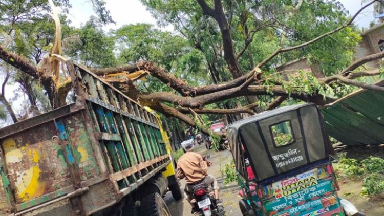 কালবৈশাখী ঝড়ে প্রাণ গেল ৭ জনের