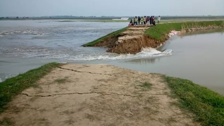 এবার মাউতির বাঁধ ভেঙ্গে ডুবে গেছে বোরো ফসল