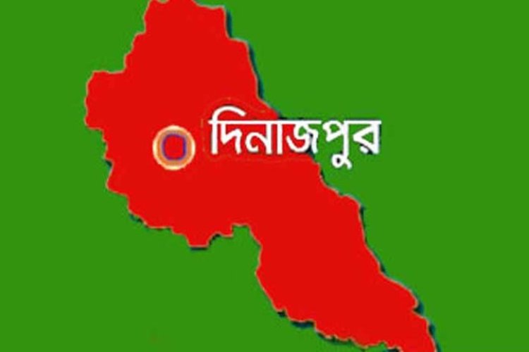 বাস-পিকআপ সংঘর্ষে চালকসহ প্রাণ গেল ৮ গরুর