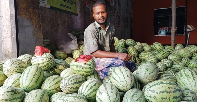 তরমুজের কেজি ১০ টাকা, তবুও ক্রেতা নেই