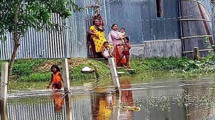 আখাউড়া পৌর এলাকার অর্ধশত পরিবার পানিবন্দি