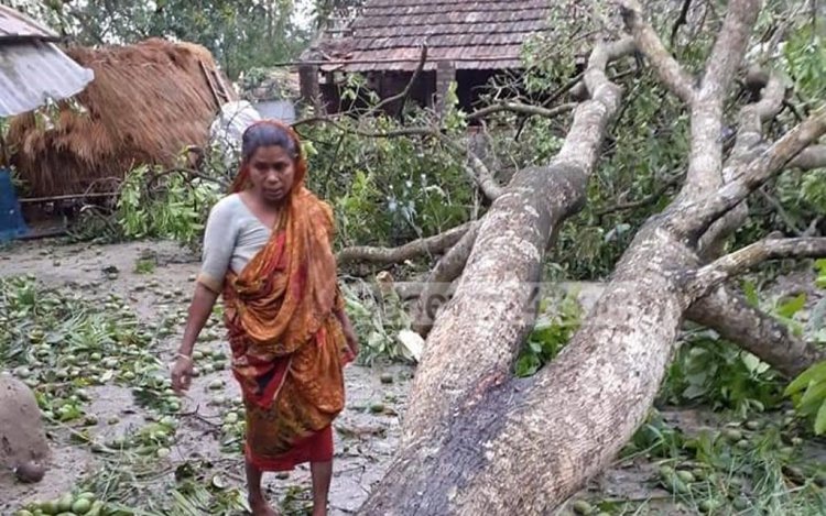 নীলফামারীতে ঝড়ে ক্ষতিগ্রস্ত শতাধিক ঘরবাড়ি