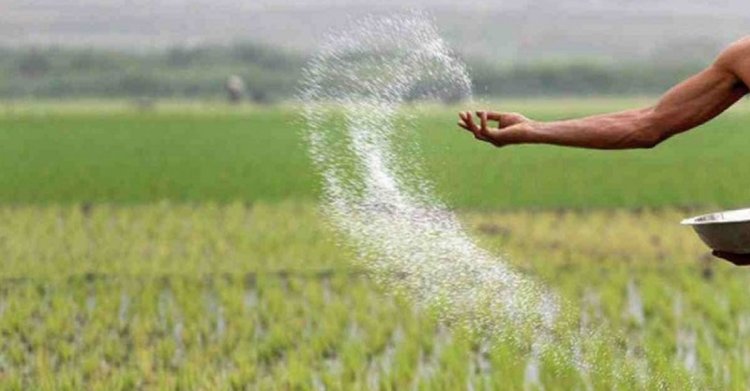 বেসরকারিভাবে আমদানি হচ্ছে ১০ লাখ টন নন-ইউরিয়া সার