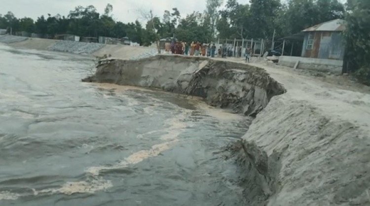 যমুনার ভাঙনে দিশেহারা মানুষ