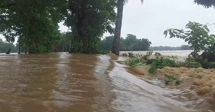 শেরপুরে ২ হাজার পরিবার পানিবন্দি