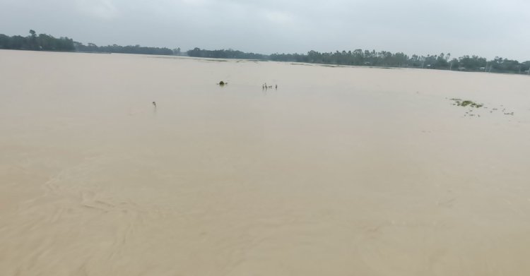 শেরপুরে নতুন দুই ইউনিয়ন প্লাবিত, পানিবন্দি ১০ হাজার মানুষ