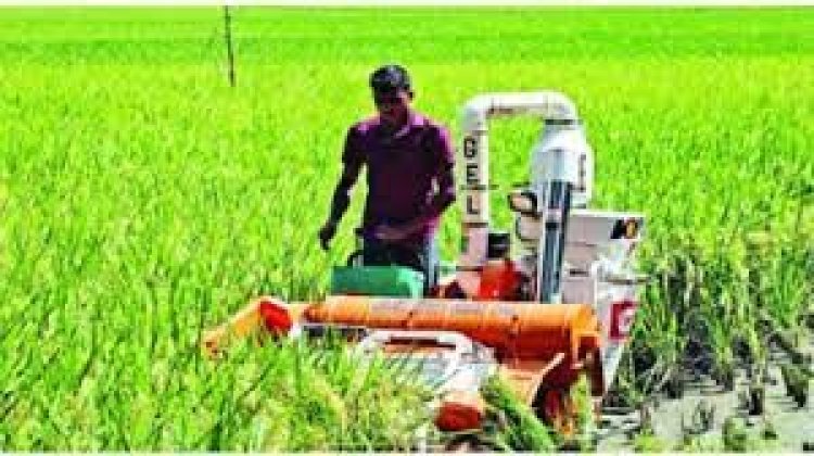  যুদ্ধে ২৫ শতাংশ ফসলি জমি হারিয়েছে ইউক্রেন