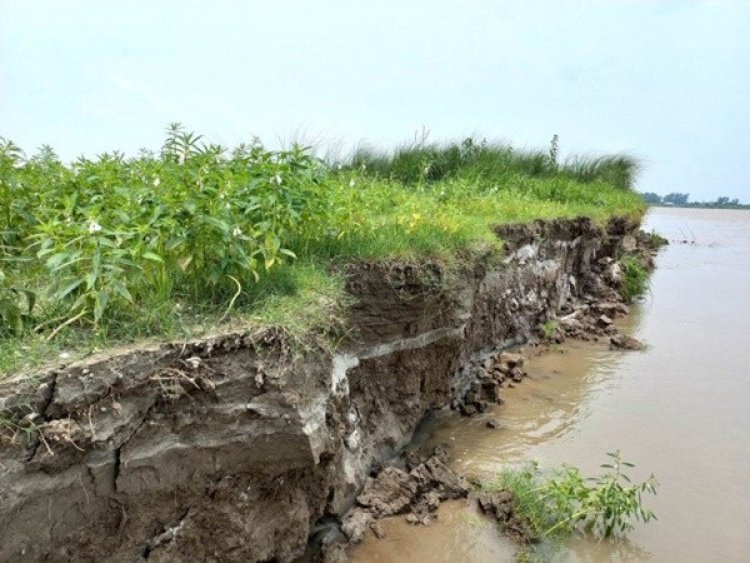 সিরাজগঞ্জে বাড়ছে যমুনার পানি, তীব্র নদীভাঙন