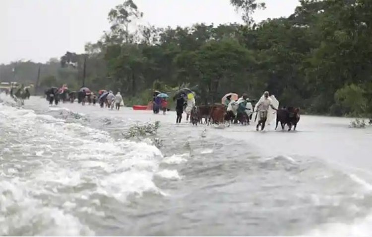 আশ্রয়কেন্দ্রে একাকার মানুষ আর পশুতে , খাবার নেই, পানি নেই