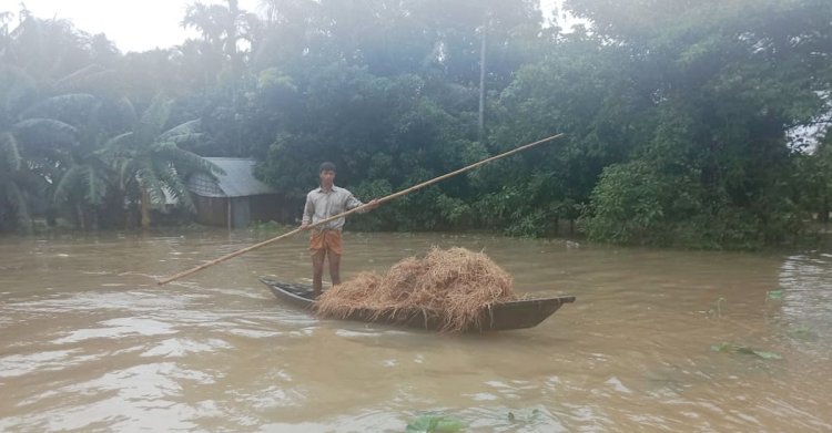 নেত্রকোণার ১০ উপজেলা প্লাবিত, বিদ্যুৎ বিচ্ছিন্ন ৭