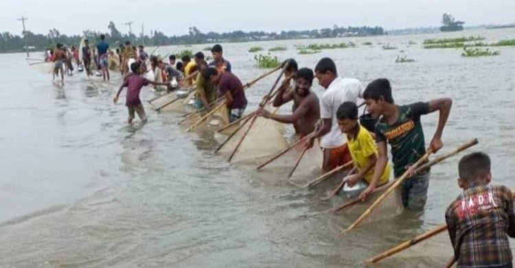 বন্যায় ভেসে গেছে ৫০০ মৎস্য খামার, ৩ কোটি টাকার ক্ষয়ক্ষতি