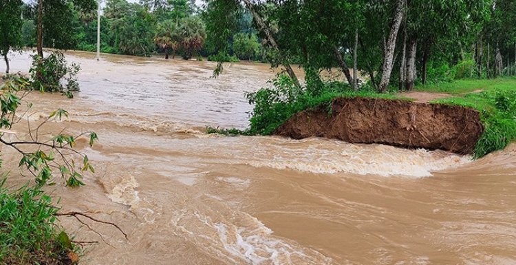 মুহুরী নদীর বাঁধ ভেঙে ফেনীর ১২ গ্রাম প্লাবিত