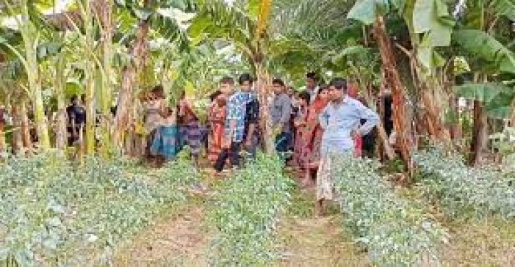 ব্যবসায়ীকে হত্যার পর ৬ লাখ টাকা ‘লুট’