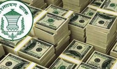 সারাবছরই চাপে থাকবে বিদেশি মুদ্রার রিজার্ভ