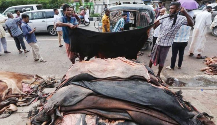 গরু-খাসির চমড়ার দাম নির্ধারণ