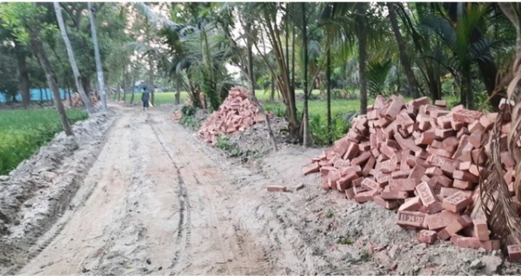 পুকুর-বর্ষা গিলে খাচ্ছে ২০ শতাংশ ইটের সড়ক