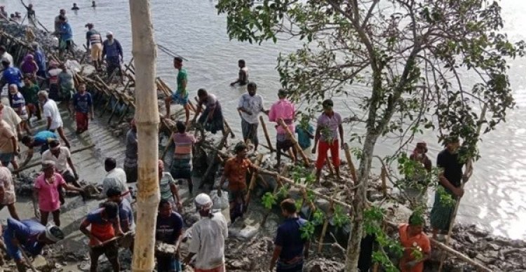 স্বেচ্ছাশ্রমে    কয়রায় বাঁধ মেরামত চলছে