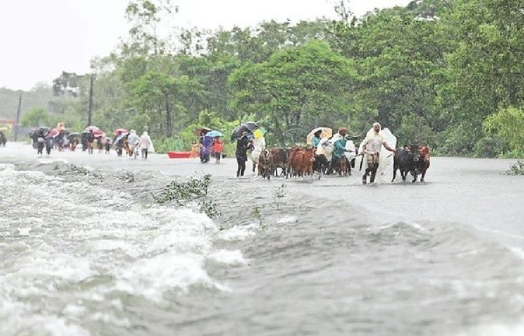 উজানে ভারী বৃষ্টি, আবারও বন্যার আশঙ্কা