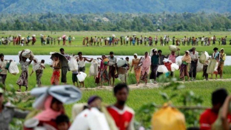 রোহিঙ্গা গণহত্যা মামলার প্রক্রিয়া আবার শুরু