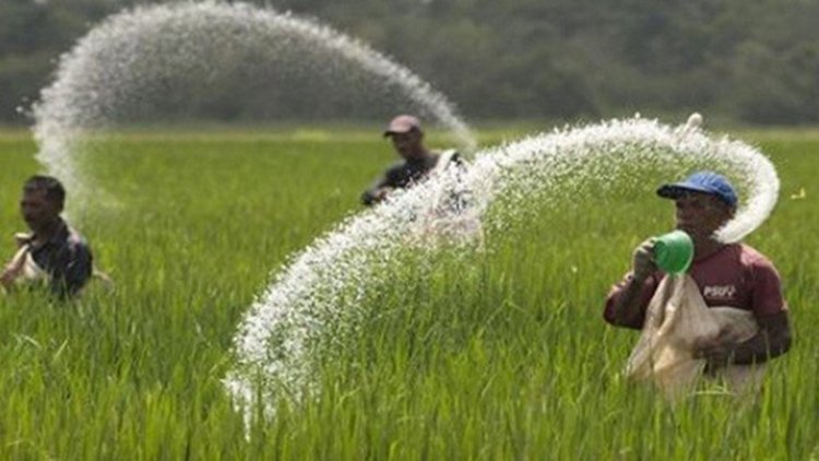 ইউরিয়া সারের দাম প্রতিকেজি ৬ টাকা বাড়লো