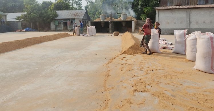 খাদ্য কর্মকর্তাদের ঘুষ দিয়ে নিম্নমানের চাল দেন মিলাররা