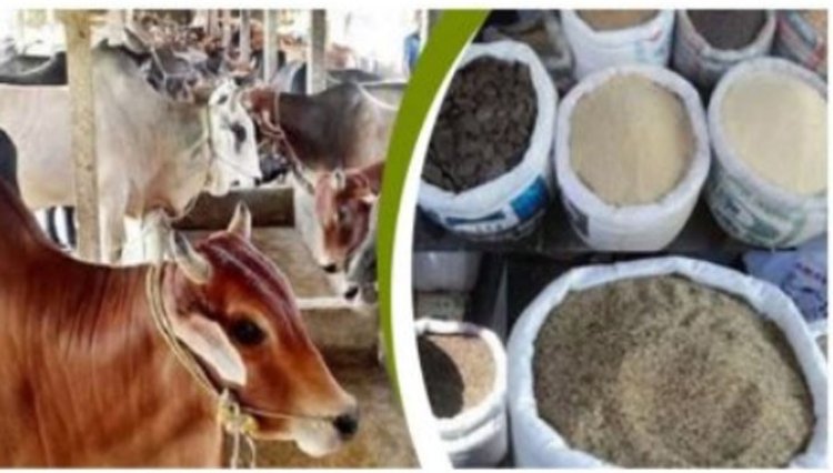গো-খাদ্য ও জ্বালানির চড়া দামে সংকটে দুগ্ধ শিল্প