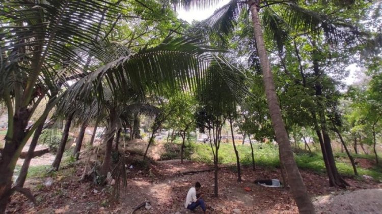 দুই প্রতিষ্ঠানের টানাহেঁচড়া, পান্থকুঞ্জ এখন অপরাধের স্বর্গরাজ্য