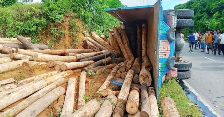 কাঠবোঝাই ট্রাক উল্টে প্রাণ গেল ২ জনের, আহত ৮