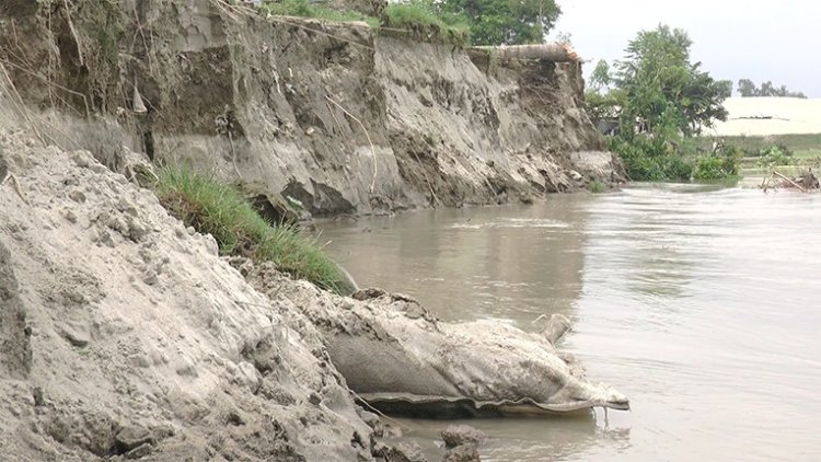 যমুনার ভাঙনে ভিটেমাটি হারিয়ে দিশেহারা মানুষ