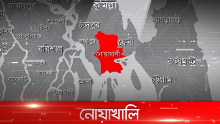 নোয়াখালীতে ‘আইনের লোক’ পরিচয়ে লুটপাট!