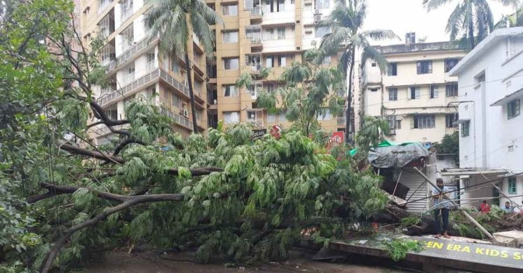 রাজধানীর দুই শতাধিক স্থানে সড়কে গাছ ভেঙে পড়ে যান চলাচল বিঘ্নিত