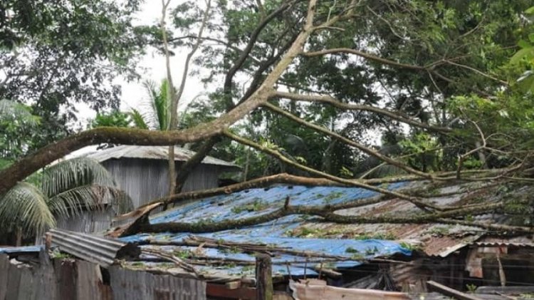 বরিশালে ৩ হাজার বাড়িঘর বিধ্বস্ত, মাছ চাষিদের ক্ষতি ৮ কোটি টাকা