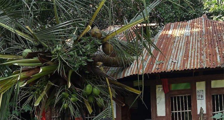 ঘূর্ণিঝড় সিত্রাং: বরিশালে ৩ হাজারের বেশি ঘরবাড়ি ক্ষতিগ্রস্ত