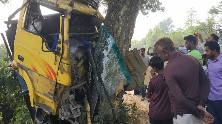 গরু বোঝাই ট্রাক দুর্ঘটনায় নিহত ২