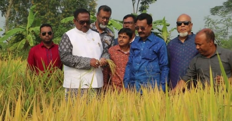 জনগণকে অবৈধভাবে ধান মজুত না করার পরামর্শ খাদ্যমন্ত্রীর