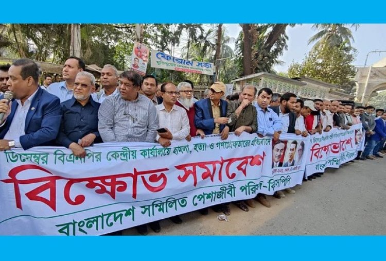 বিএনপির নেতার অভাব নেই, সমাবেশ হবেই: পেশাজীবী পরিষদ