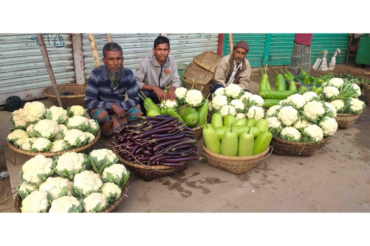 সুনামগঞ্জে শীতকালীন সবজির ভালো ফলনেও কৃষকের মুখ মলিন